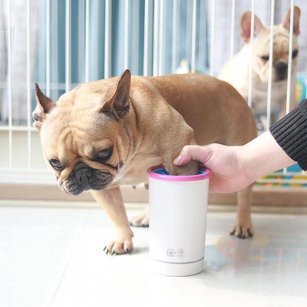 USB paw washing cup in use with a dog getting its paws cleaned.
